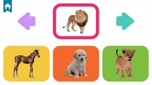 Baby Animal Learning Game - Ludoryx free online game