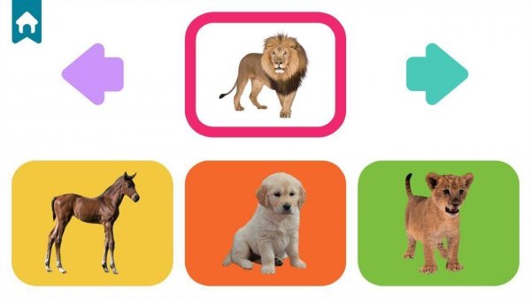 Baby Animal Learning Educational Game