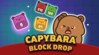 Capybara Block Drop Puzzle Game