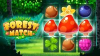 Forest Match Puzzle Game
