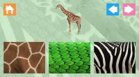 Animal Skins Learning Game