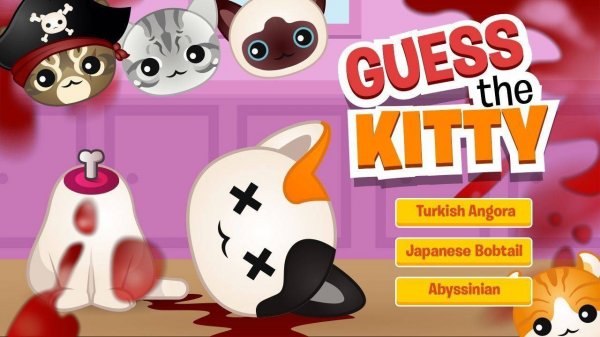 Cat Picture Puzzle Challenge