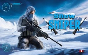 Snowy Puzzle Observer